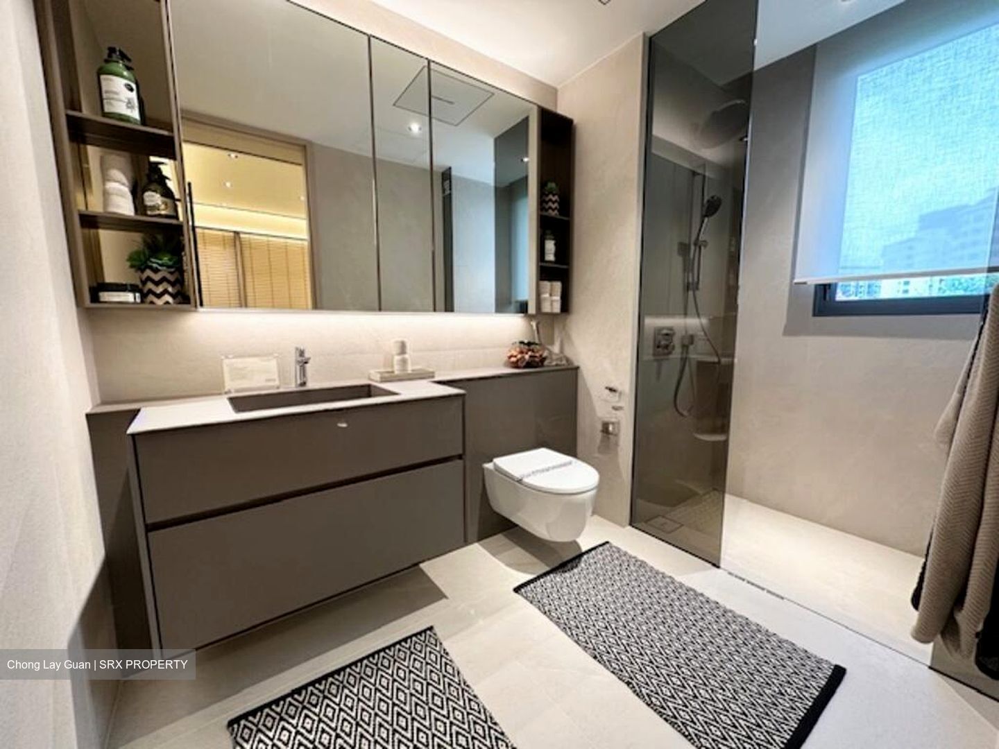 Union Square Residences (D1), Condominium #496154651